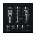 Skeleton System - Black