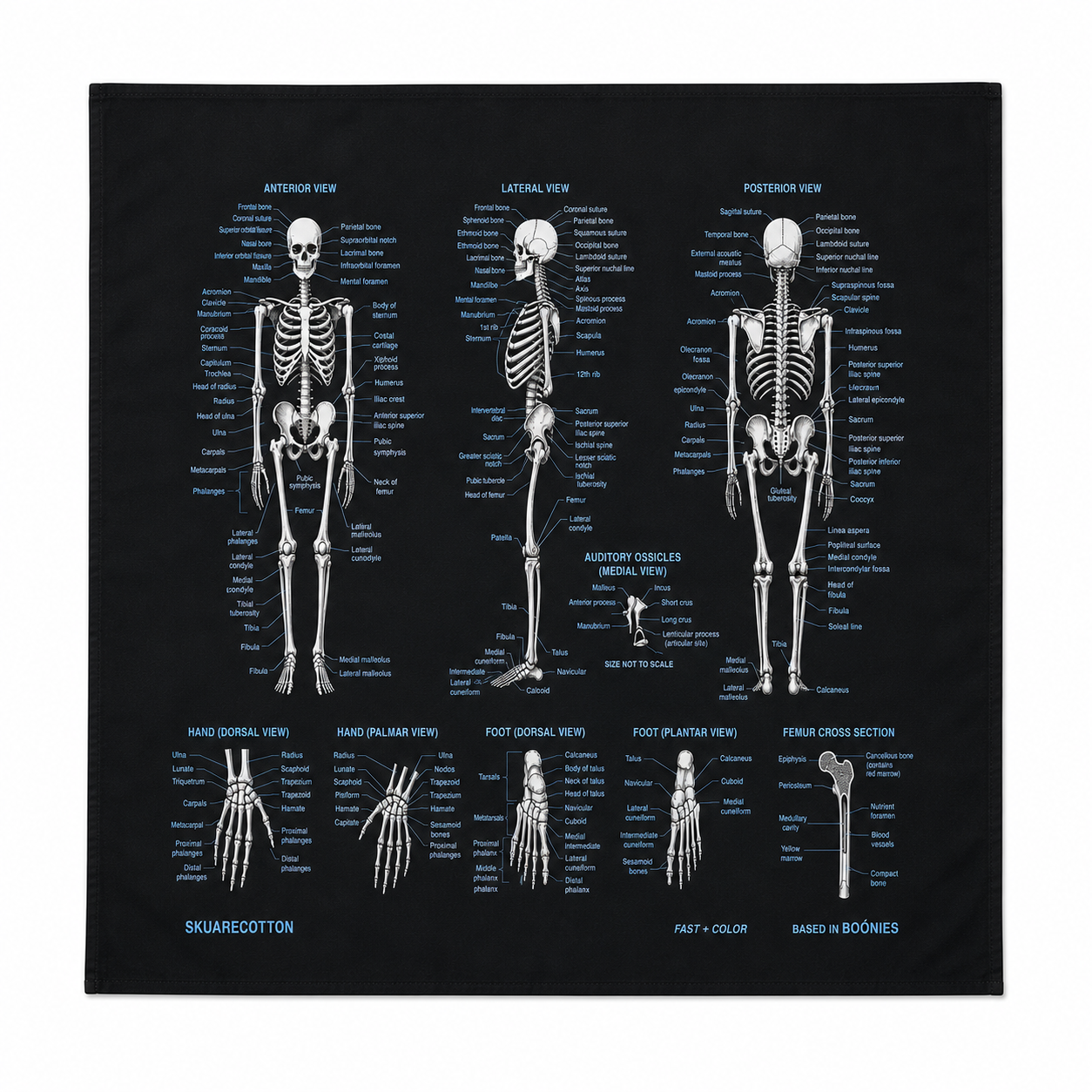 Skeleton System - Black