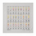 Abundant Alphabet - Light Gray